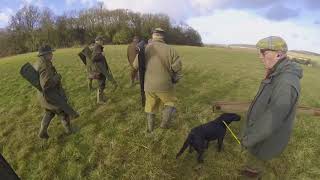 Pheasant Shooting Holland amp Holland Royal [upl. by Assile]