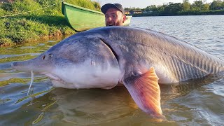 STORIONE BELUGA GIGANTE 160 kg X 250 mt RECORD  HD by CATFISHING WORLD [upl. by Yecac]