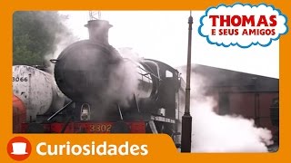 Thomas e Seus Amigos A Locomotiva a Vapor [upl. by Hnahk570]