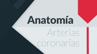 ANATOMÍA DE LAS ARTERIAS CORONARIAS [upl. by Eilegna]