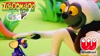 Zoboomafoo  Episode Making Friends With Pets  Animals For Kids [upl. by Neidhardt]