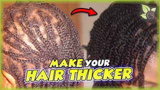 HAIR THICKNESS  How to TEST and INCREASE it [upl. by Elad]