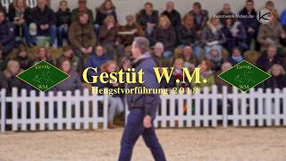 Hengstpräsentation 2018  Gestüt WM [upl. by Koblick490]