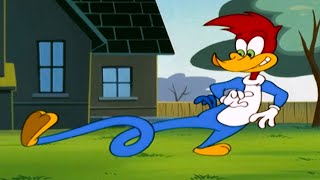 Woodys New Super Powers  1 Hour of Woody Woodpecker Full Episodes [upl. by Miguel]