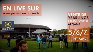 Vente ARQANA TROT VENDREDI [upl. by Llenor]