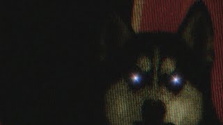 Smile Dog Compilation  Creepypasta Movie [upl. by Itram]