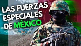 GAFES  Las Fuerzas Especiales más EXIGENTES y PREPARADAS de México [upl. by Hazem]