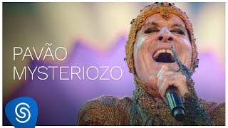 Ney Matogrosso  Pavão Mysteriozo DVD Bloco na Rua Vídeo Oficial [upl. by Rimidalg766]