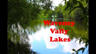 waveney valley lakes [upl. by Mcgray]