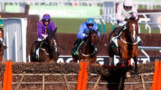 Faugheen is brilliant in the 2015 Champion Hurdle [upl. by Hootman72]