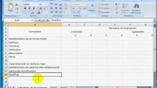 Formulación y Evaluación de ProyectosCalendario de Inversiones con EXCEL [upl. by Aehtorod896]