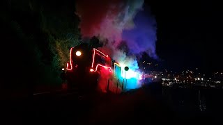 Dartmouth Steam Railway Train of Lights November 2021 [upl. by Aracat]