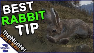 Best Tip for Jackrabbit Call of the Wild TheHunter [upl. by Okajima]