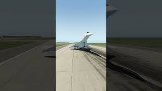 Concorde landing pilot cant see runway simulated [upl. by Imuyam507]