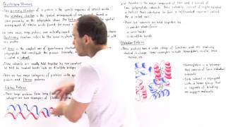 Quaternary Structure of Proteins [upl. by Ahlgren187]