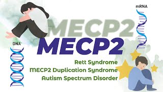 MECP2 Gene  Pathogenic Gene of 3 Neurodevelopmental Disorders [upl. by Dlonyer]