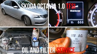 How to reset the oil change  inspection service light  message on a 2020 Skoda Octavia [upl. by Deys]