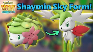 How to Get Shaymin Sky Form in Pokemon Scarlet and Violet Teal Mask DLC Shaymin Form Change Item [upl. by Ahsiakal]