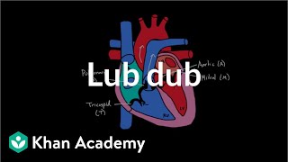 Lub Dub  Circulatory system physiology  NCLEXRN  Khan Academy [upl. by Nonnac328]