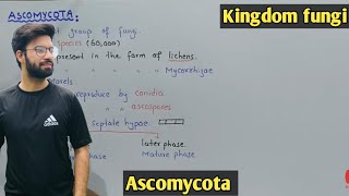 Ascomycota life cycle  Characteristics  Class 11 Biology [upl. by Atteynek807]