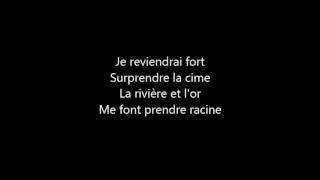 Julien doré Le lac Lyrics [upl. by Ekyt]