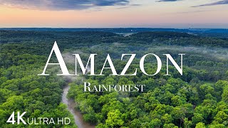 Amazon in 4K  The World’s Largest Tropical Rainforest  Aerial Drone  Scenic Relaxation Film [upl. by Wittie]