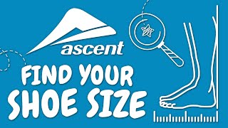 Find Your Shoe Size [upl. by Demaggio376]