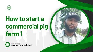 How to Start a Commercial Pig farm  Pig farming in Nigeria [upl. by Macmullin480]