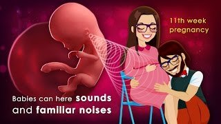 11 Weeks Pregnant Track Your Babys Growth Here [upl. by Frere408]