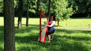 Introducing the Brilliant Harpsicle Harp [upl. by Vickey973]