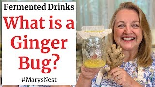 How to Make a Ginger Bug for Making Probiotic Rich Fermented Drinks [upl. by Lahpos]