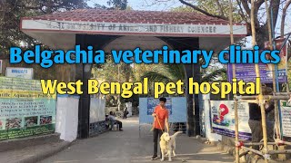 Today visited Belgachia veterinary clinics in Kolkata [upl. by Rovaert]