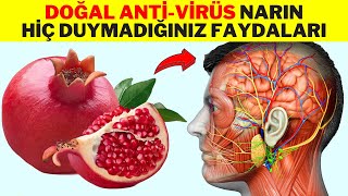 DOĞAL ANTİVİRÜS NARIN FAYDALARI Narın Vitaminleri  Narın Zararları  Nar Suyunun Faydaları [upl. by Brigit]