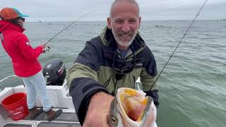 How to Fish for Chesapeake Bay Speckled Trout [upl. by Llenrrad]