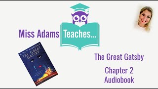 The Great Gatsby  Chapter 2 Audiobook [upl. by Dennis757]