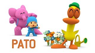 PATOS PACK  60 minutes with our friend Pato and Pocoyo [upl. by Ettelloc472]