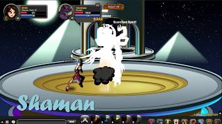 Aqw TIBICENAS SOLO with Archpaladin amp Shaman class [upl. by Nahtanoy]