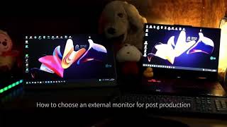 The Ultimate Portable Monitor with 173Inch QHD IPS Screen  HDR Technology [upl. by Sirred470]