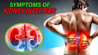 Symptoms of Kidney Infection [upl. by Aihsrop]