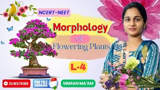 Morphology of Flowering Plants L 4  Inflorescence  NCERT Class 11NEET 2025  Simran Maam [upl. by Jenette]