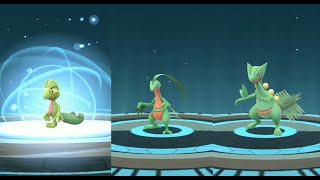 TREECKO evolves into GROVYLE and SCEPTILE in Pokemon GO  Trainer Ari [upl. by Ogata]