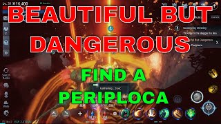 Mir4 Request Quest Clue Beautiful But Dangerous Find a Periploca Bicheon Castle [upl. by Cully6]