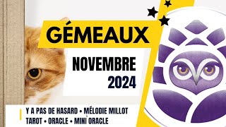 ♊️ GEMEAUX • NOVEMBRE 2024 • Y a pas de hasard 😉 • LE TAROSCOPE DU MOIS [upl. by Kosiur]