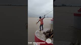 Catching Floating Logs with Spears  facts skill survival fishing amazing interestingfacts [upl. by Hooker338]