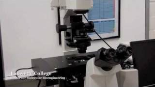 Nikon Ti Eclipse Confocal Microscope  Fluorescence Imaging [upl. by Eldwun373]