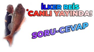 İLKER REİS CANLI YAYINDA  SİZ SORDUNUZ REİS CEVAPLADI [upl. by Alberto]