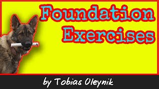 Foundation Exercises for IGP aka IPO or Schutzhund Dog Training  by Tobias Oleynik [upl. by Crichton9]