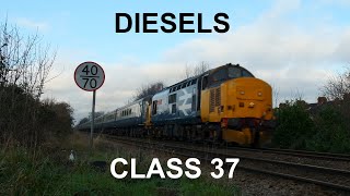 Diesels Class 37 [upl. by Pattin]