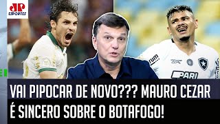 quotNUNCA DUVIDEM da capacidade do Botafogo de DAR UMA PIPOCADA E o Palmeirasquot Mauro Cezar É DIRETO [upl. by Berstine]