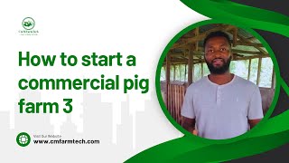 How to Start a Commercial Pig Farm 3  Pig Farming in Nigeria [upl. by Garfield537]